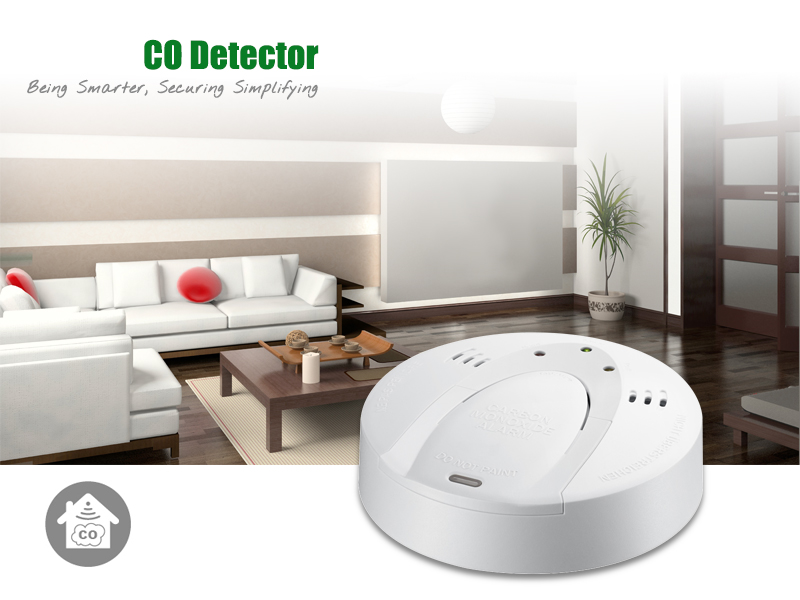 Vision CO detector